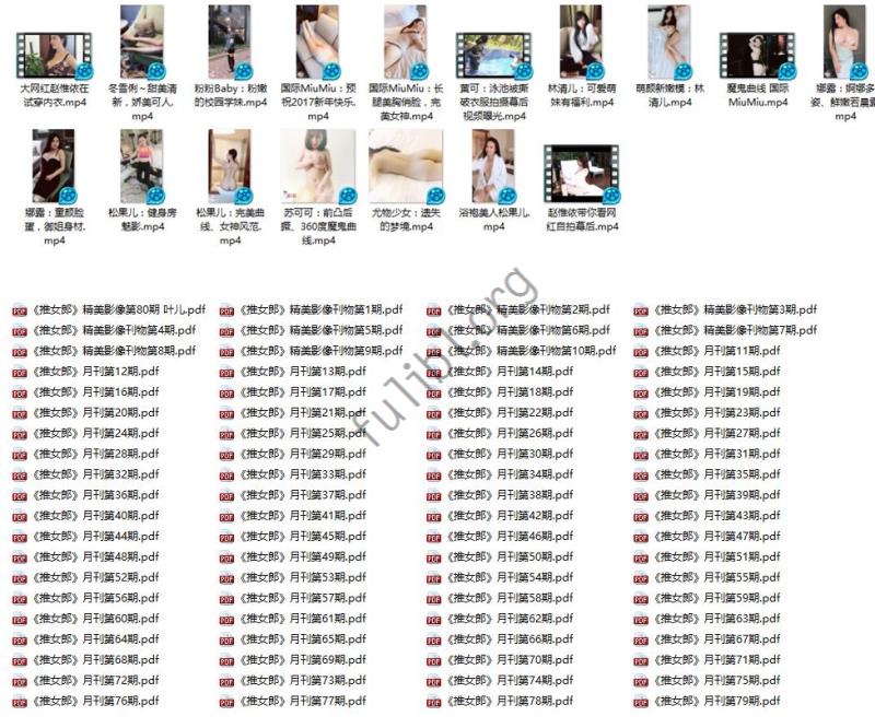 TuiGirl推女郎第1~81期官方正版PDF+17期小视频花絮全集[17V+116P/823M]