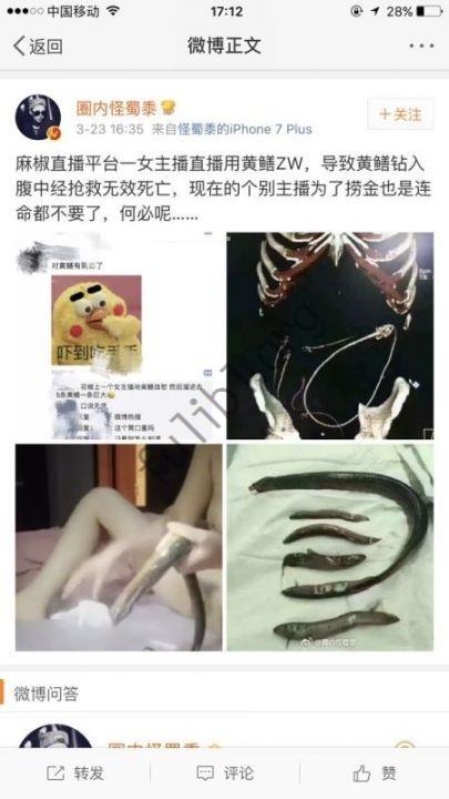最近超级火爆的麻椒主播@琪琪黄鳝自W视频原版[1V/9M]