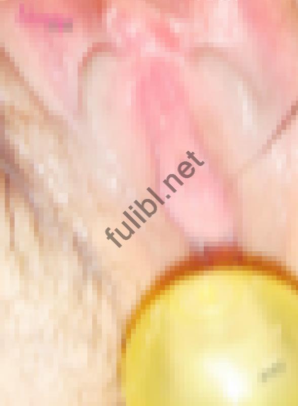 本落调教的母狗小姐姐第四季 - 固体胶水ZW特写[34P/78M]