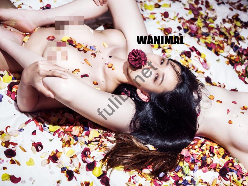 WANIMAL 2018年3月 VIP作品无修正合集[150P/2.14G]