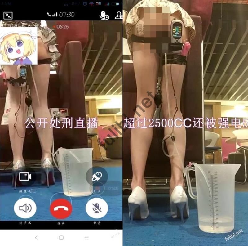 [推荐]SM调教&露出团体@援器协会 作品合集[4P+4V/1.07G]