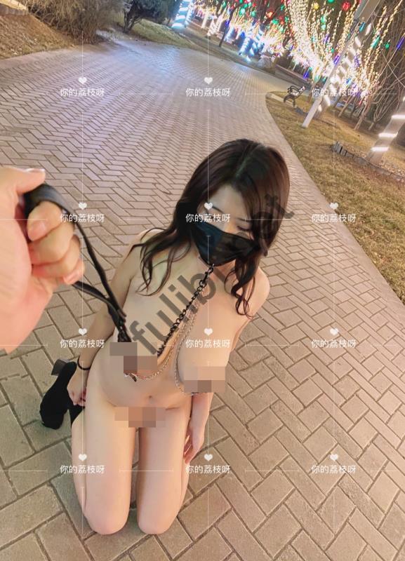 露出系抖M@你的荔枝呀 尺度私拍合集[92P+20V/106M]