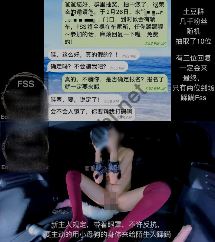极品网红@FSS冯珊珊 - 后备箱公开处刑[1V/866M]