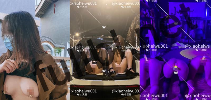 超强大佬@小黑屋 调教多位御姐萝莉素人合集[326P+120V/8.20G]