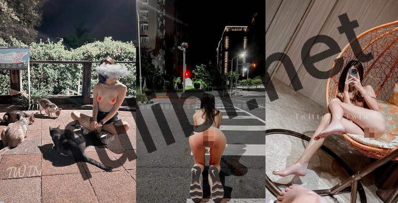 露出系福利姬@TWIN 尺度私拍视图合集[297P+48V/1.14G]