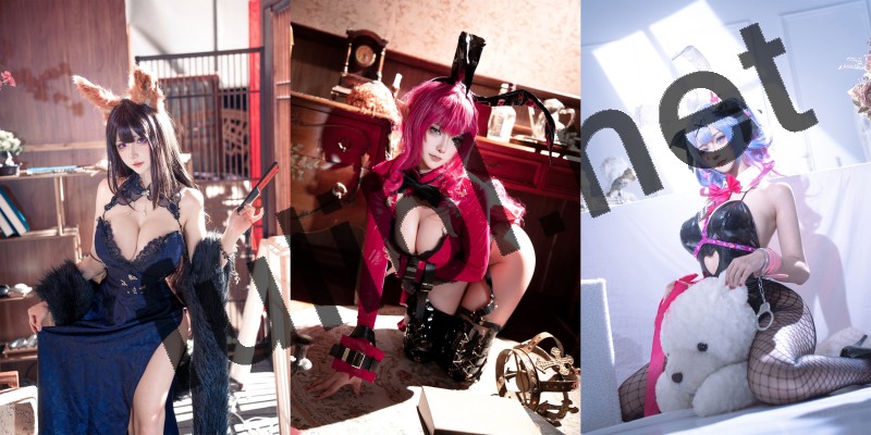 高颜值coser@Seya-狮砸 写真作30套原版合集[335P4V/4.14G]