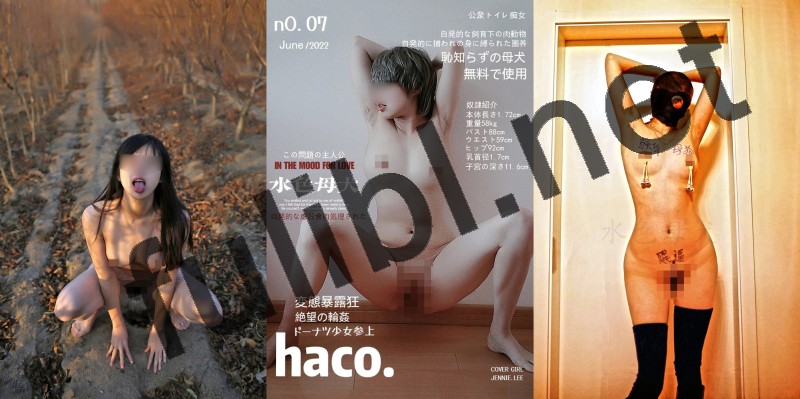 极品重度抖m@水色母犬 尺度私拍视图合集[575P+28V/276M]